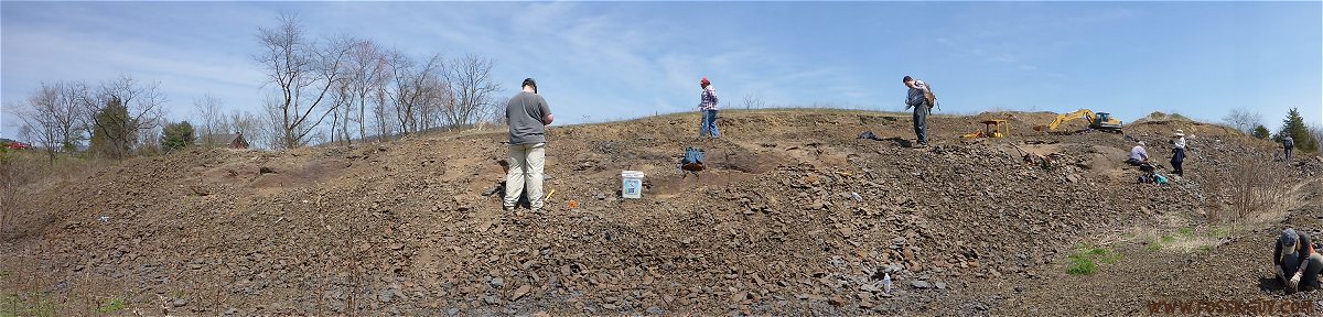 This is a panoramic view of the fossil site in central PA containing the Mahantango formation.
