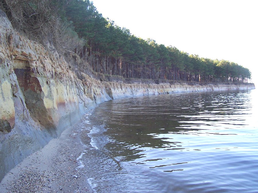 Picture of a fossil bearing cliff exposure.