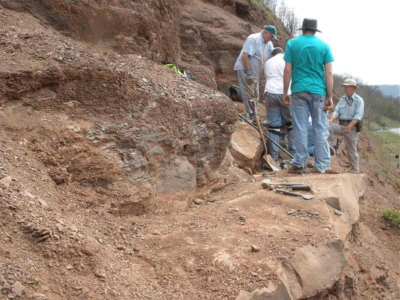 On the far right is Doug Rowe, the Paleontologist from the Philadelphia Academy of Natural Sciences who oversees Red Hill.