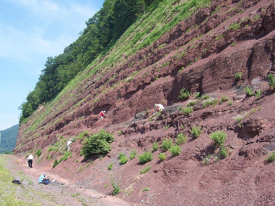 Here is a view of the Red Hill road cut