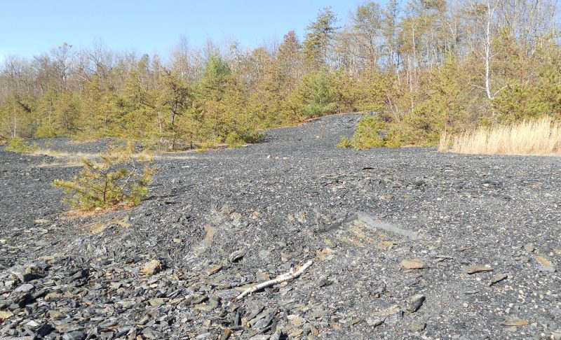 This is a view of the abandoned strip mine.  It is primarily used for ATV paths.