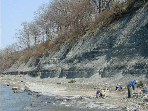 Fossil Site near buffalo, New York