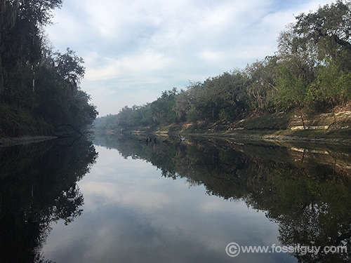 Peace River Fossil Hunting in Florida